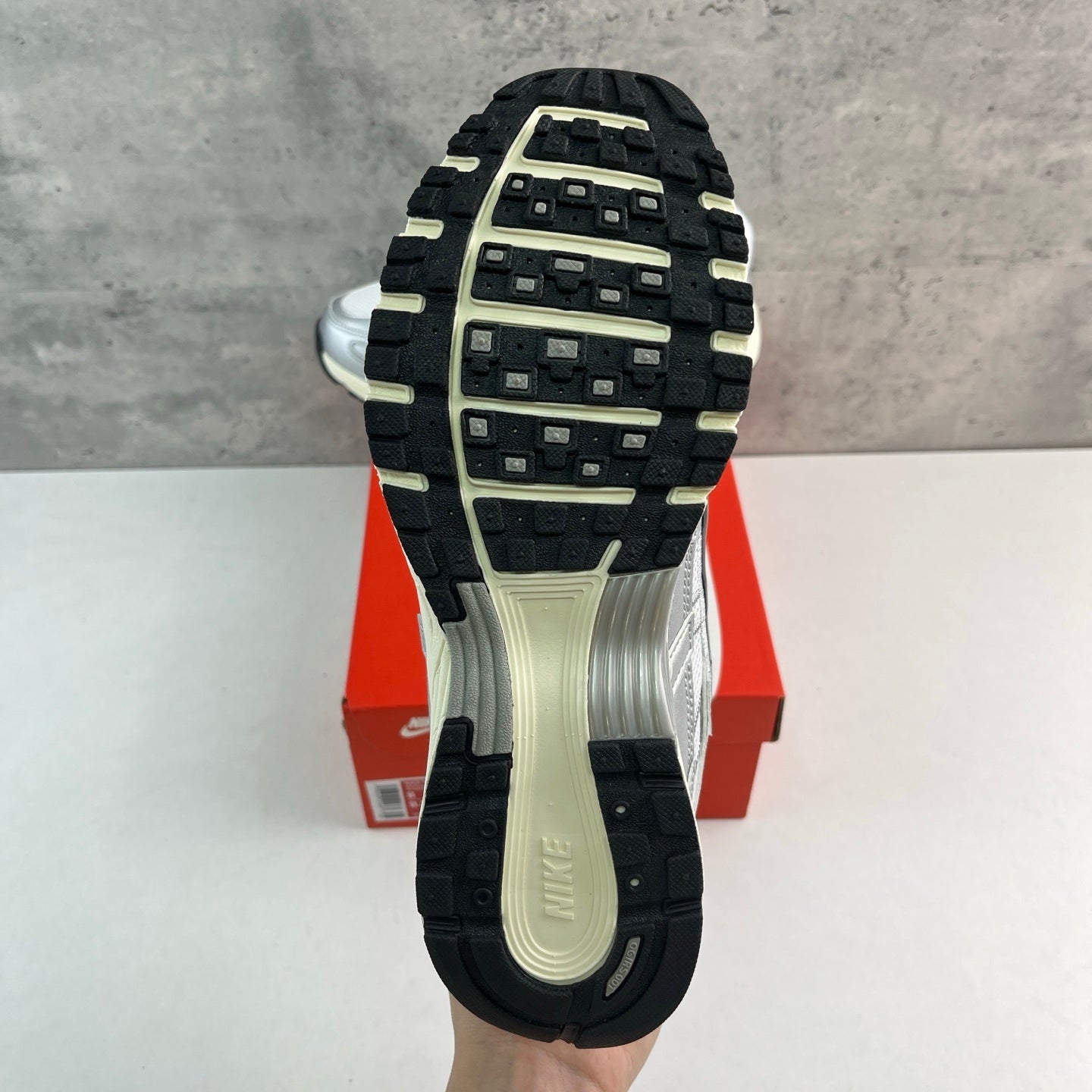 Nike P-6000 'Metallic Flat Silver'