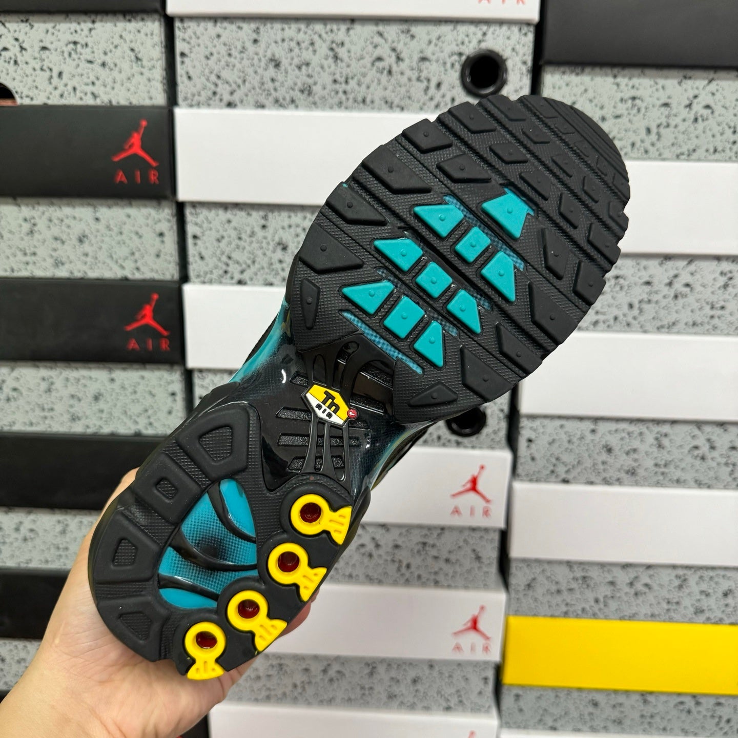 Nike Air Max Plus 'Black Dusty Cactus'