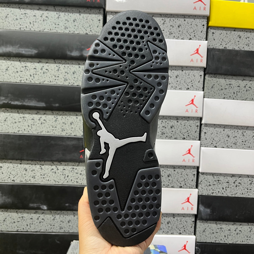 Air Jordan 6 Retro 'Cap and Gown'