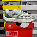 Nike P-6000 Premium 'Light Bone Bicoastal'