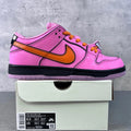 The Powerpuff Girls x Nike Dunk Low Pro SB QS PS 'Blossom'